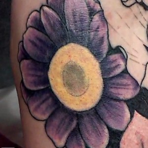Close up of purple flower