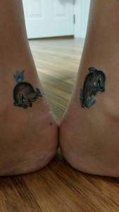 Dolphins