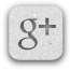 Google + icon