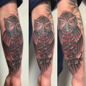 Owl on Forearm