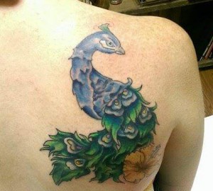 Colorful peacock tattoo on shoulder