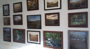 Gallery wall 2